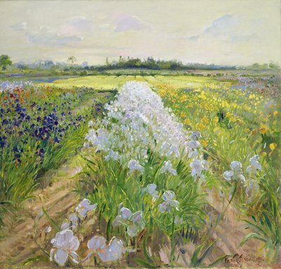 Giù la linea, 1995 da Timothy Easton
